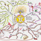 Mindmapping: Free and web-based!